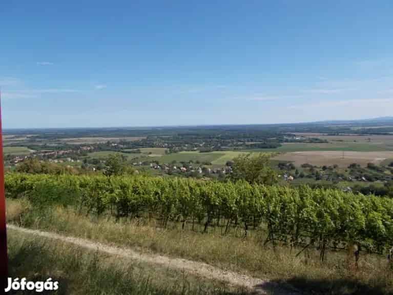 Somló-hegyi nyaraló sürgősen eladó! - Doba, Nyaralók, üdülők - Jófogás Ingatlan