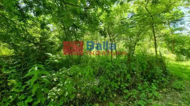 Tahitótfalu Telek Eladó 1407 m2 Kert Üdülő