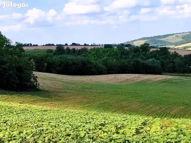 Eladó panorámás Építési Telek Bonyhád-Börzsönyben csend, természet - Bonyhád, Telek, föld - Jófogás Ingatlan