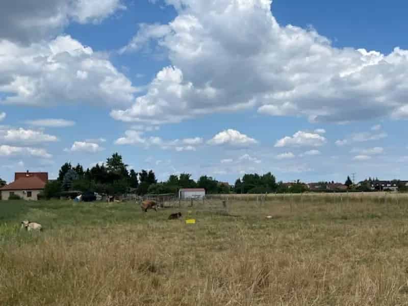 Telek Kiadó , Miskolci járás, Alföld és Észak