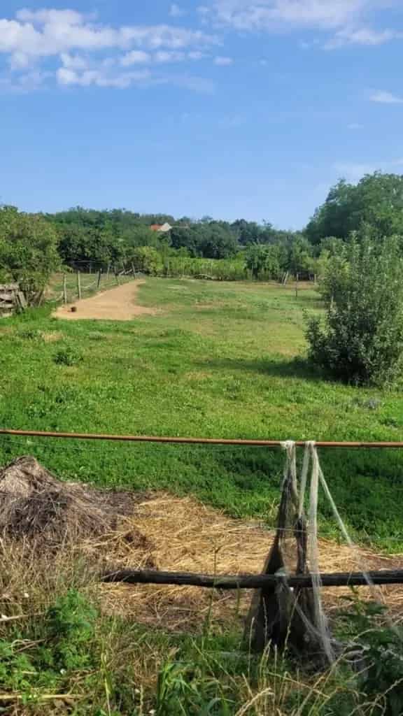 Telek Kiadó , Pécsi járás, Dunántúl