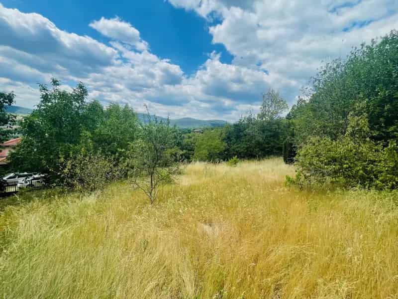 Telek Kiadó , Szentendre, Közép-Magyarország