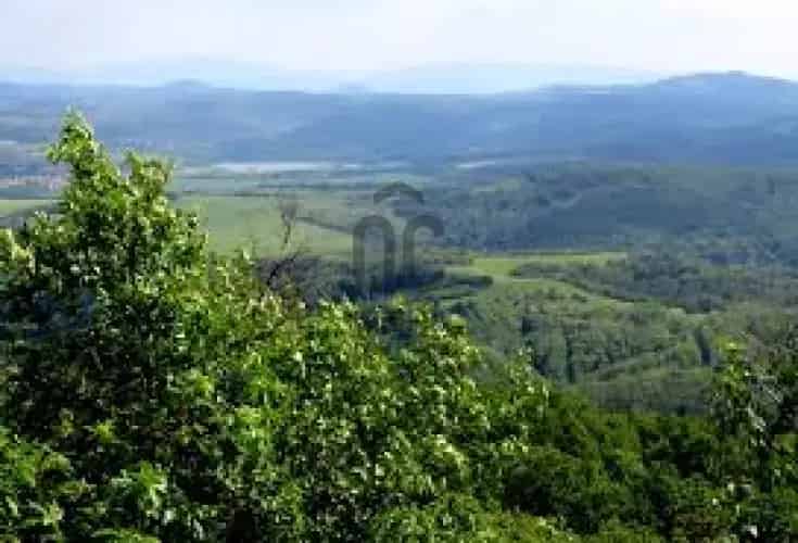 Orosztonyi eladó mezőgazdasagi ingatlan, M0002210