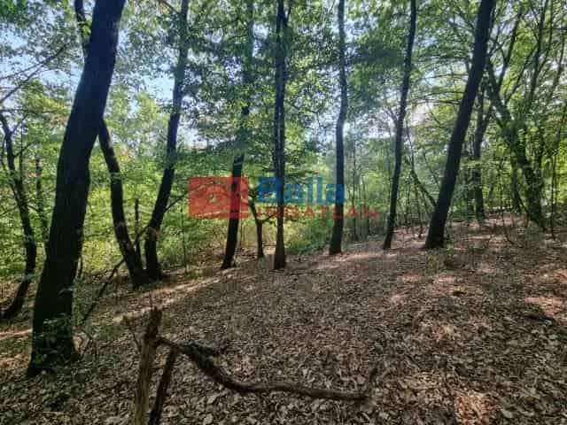 Eladó telek Kismaroson 1404 m2 Börzsöny