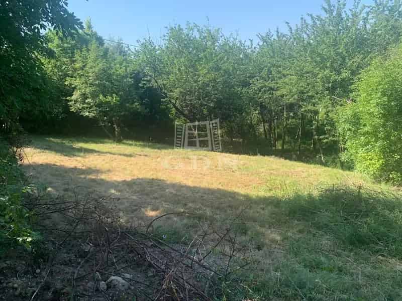 Telek Kiadó , Szentendre, Közép-Magyarország