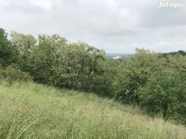 Panorámás építési telek Szenterzsébethegyen - Zalaegerszeg, Telek, föld - Jófogás Ingatlan