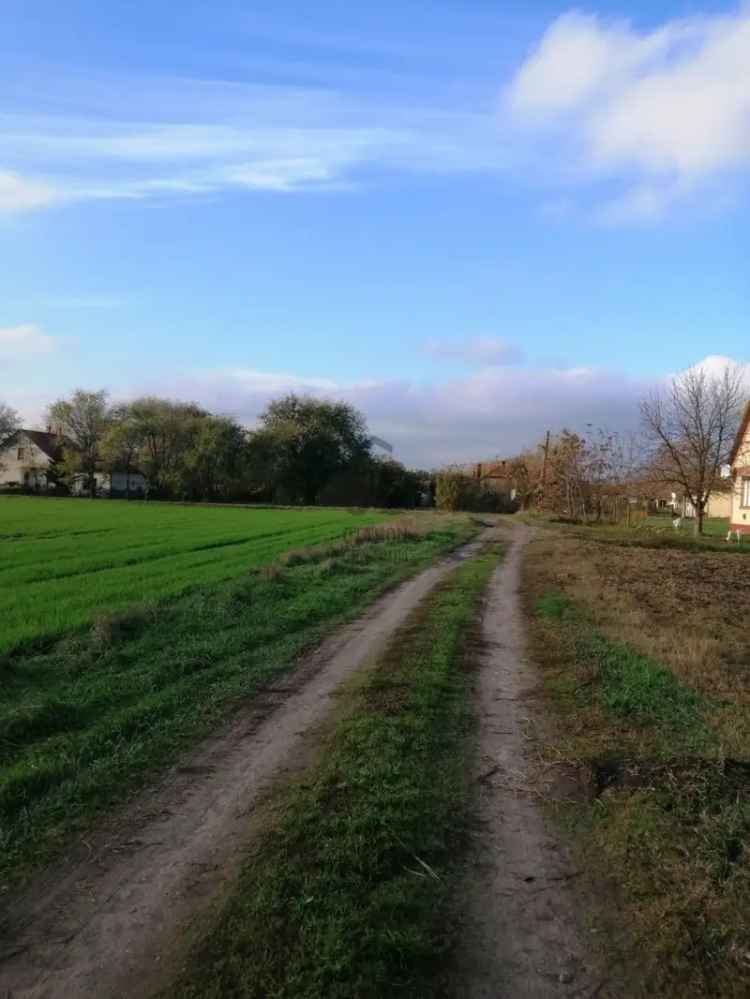 Telek Kiadó , Ceglédi járás, Közép-Magyarország