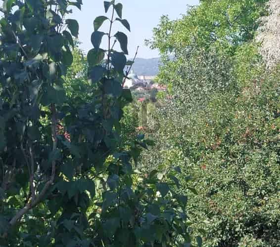 Váci eladó telek, DTK014521