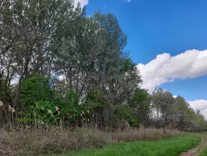 Tápióbicskei eladó mezőgazdasagi ingatlan, M0002412
