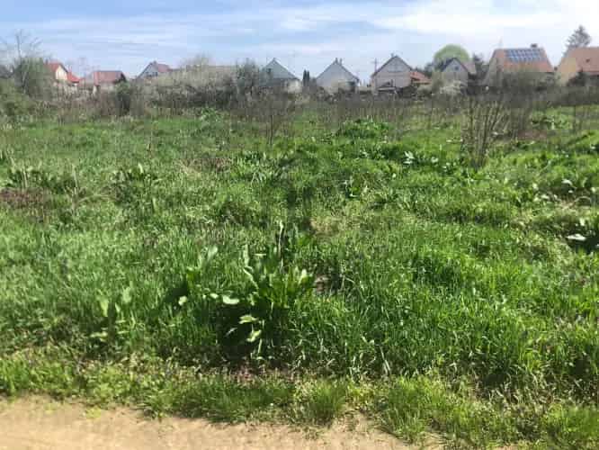 Vásárosnaményi eladó telek, T035705