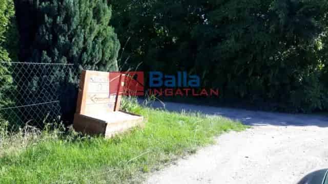 Gárdonyi Telek Eladó 4298m2 Gazdasági Épületekkel