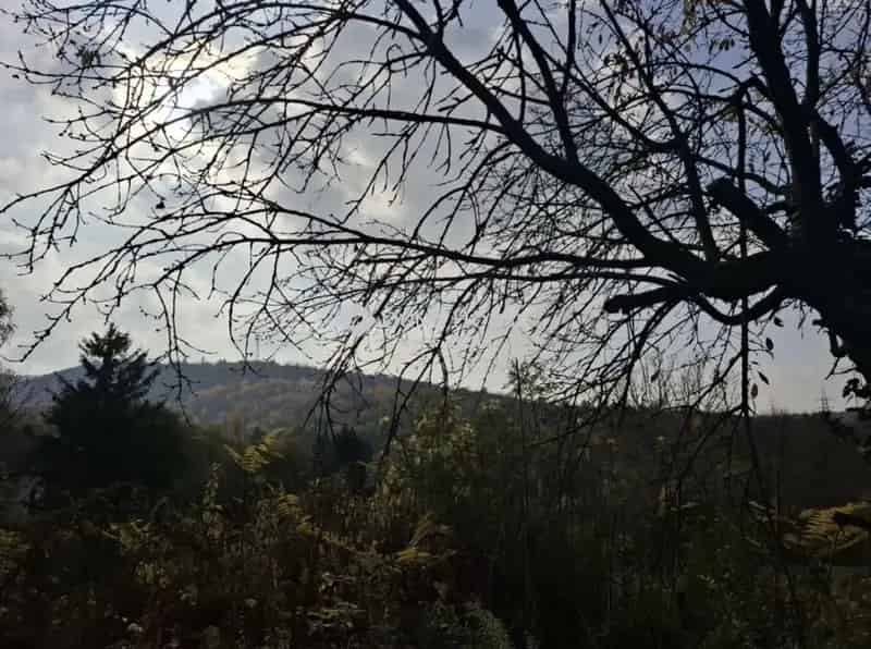 Telek Eladó , Biatorbágy, Közép-Magyarország