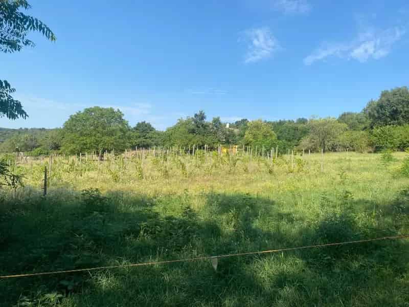 Telek Kiadó , Tapolcai járás, Dunántúl