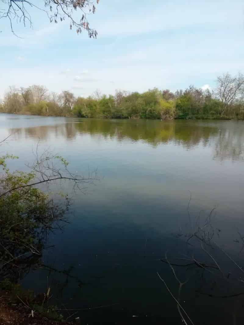 Telek Kiadó , Békésszentandrás, Alföld és Észak