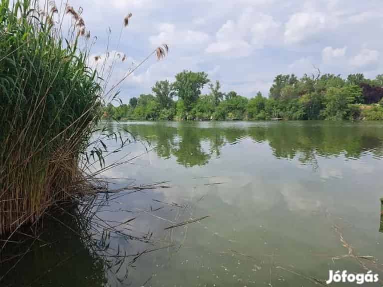 819 m2 vízparthoz közeli telek - Szolnok, Telek, föld - Jófogás Ingatlan