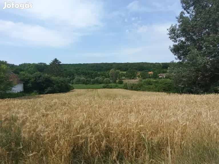 Eladó Telek, Kára 4.900.000 Ft - Kára, Telek, föld - Jófogás Ingatlan