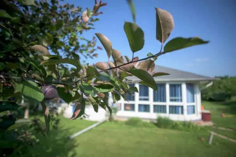 Ház Kiadó , Gödöllői járás, Közép-Magyarország