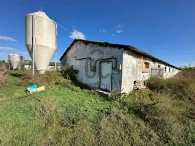 Mocsai eladó mezőgazdasagi ingatlan, M0002557