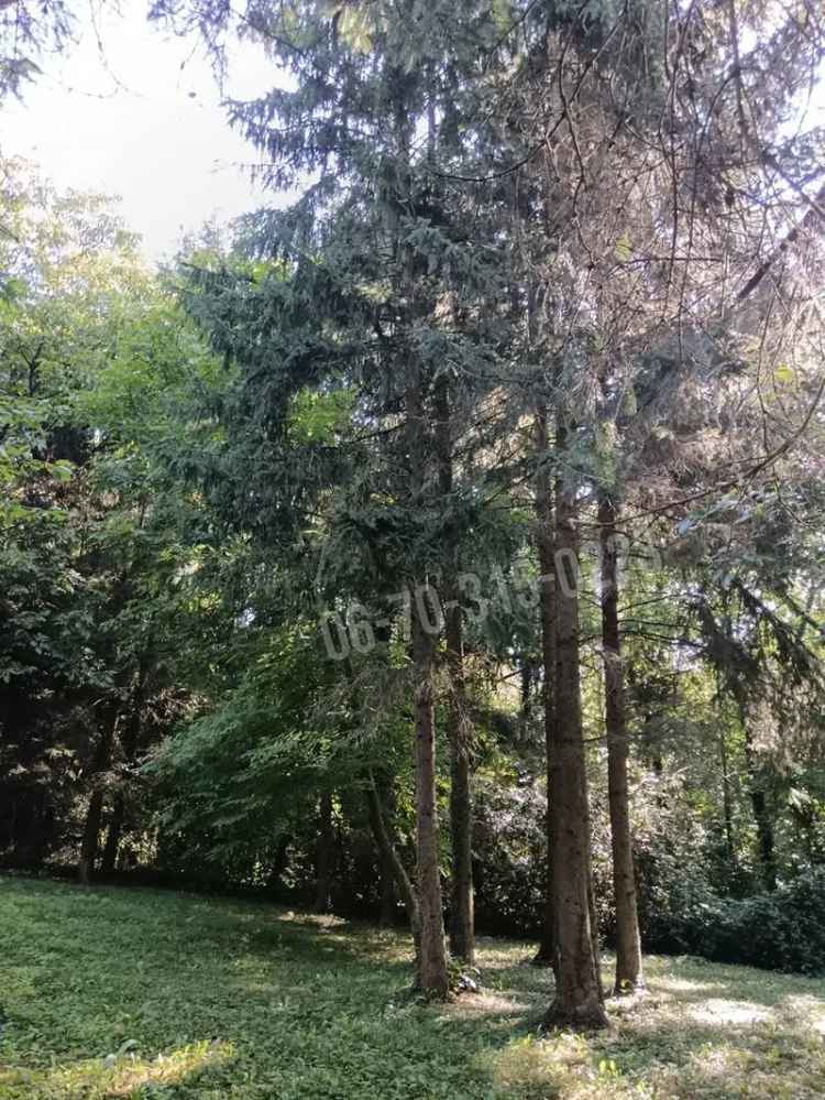 Telek Kiadó , Tornyiszentmiklós, Dunántúl