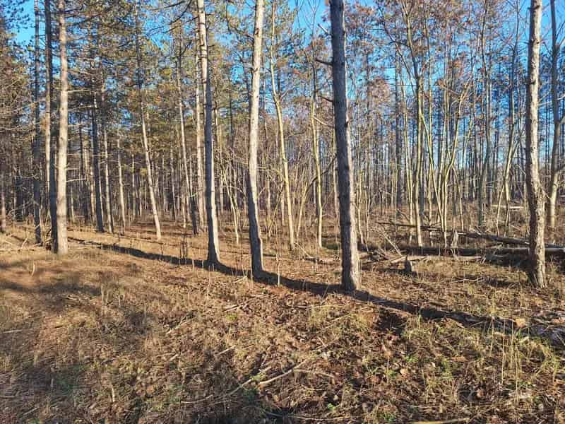 Telek Kiadó , Mórahalmi járás, Alföld és Észak