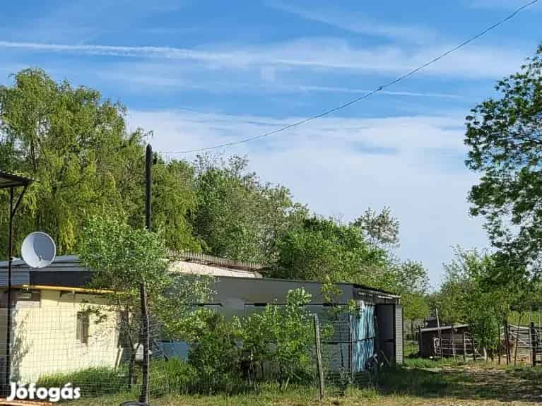 Kiskunhalas külterületén 14.694 m2 területű állattartó telep! - Kiskunhalas, Tanya - Jófogás Ingatlan