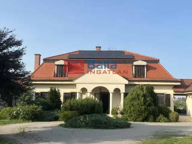 Pomáz , Pomázi út
