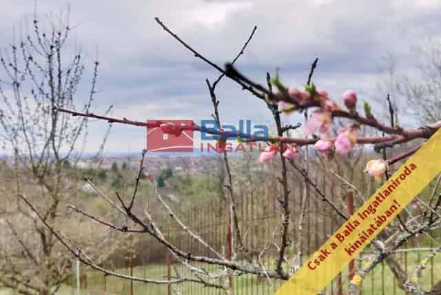 Kerepesi üdülő eladó 658 nm-es telekkel