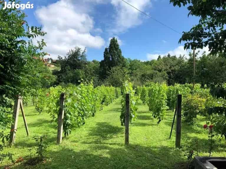 Zalaegerszeg Csácsi hegy - 2 szintes hétvégi ház eladó - Zalaegerszeg, Nyaralók, üdülők - Jófogás Ingatlan