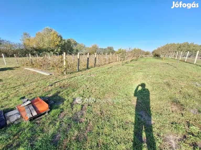 Eladó Telek, Tiszakécske - Tiszakécske, Telek, föld - Jófogás Ingatlan