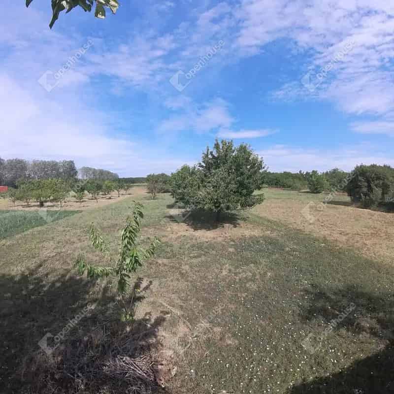 Eladó Családi Ház Nyáregyházán - 68 m2 - 1928 m2 Telek