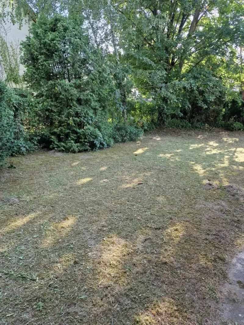 Telek Kiadó , Dunakeszi járás, Közép-Magyarország