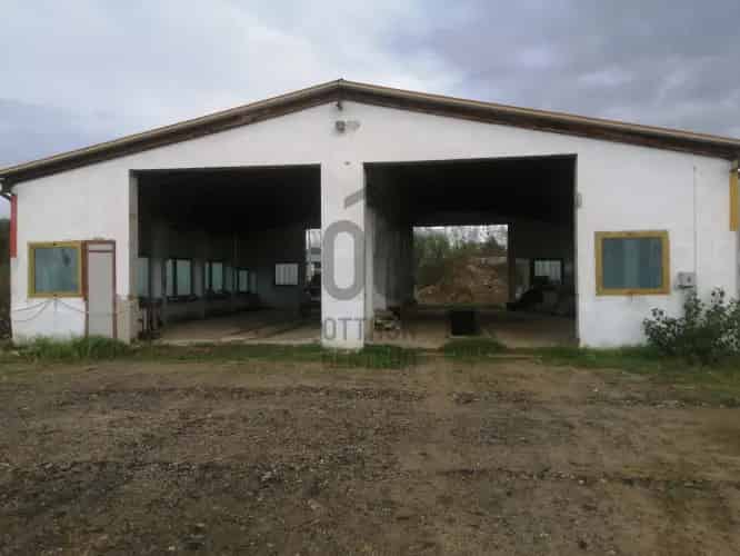 Vásárosnaményi eladó kereskedelmi ingatlan, UZ012393