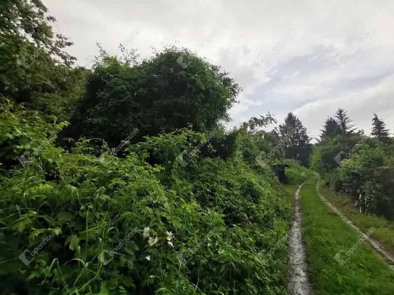 Homokkomáromi zártkerti telek eladó - 2970 m²
