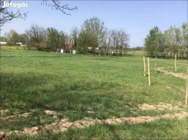 Kiskunhalas 7141 m2 területtel tanya + 9000 m2 akácerdő eladó! - Kiskunhalas, Tanya - Jófogás Ingatlan