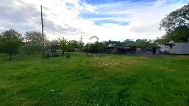 Telek Kiadó , Tatabányai járás, Dunántúl