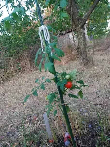 Telek Eladó , Közép-Magyarország