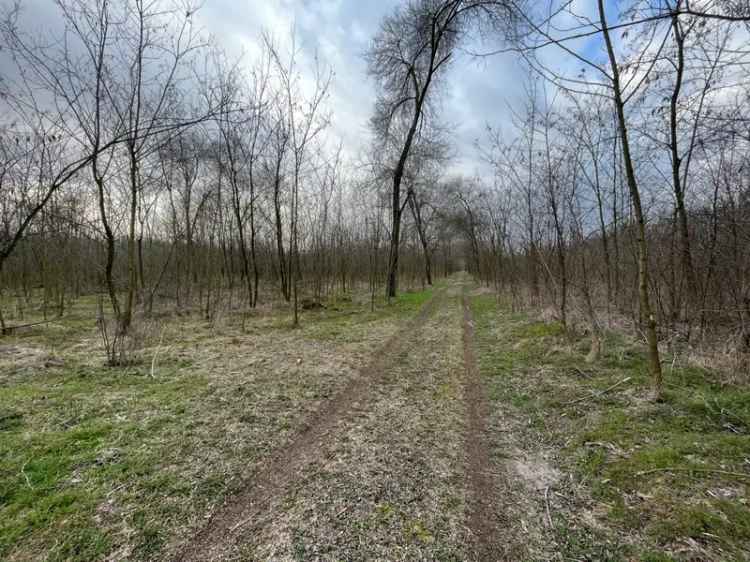 Telek Kiadó , Kerekegyháza, Alföld és Észak