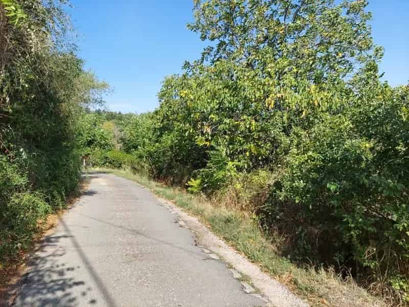 Telek Kiadó , Budakeszi járás, Közép-Magyarország