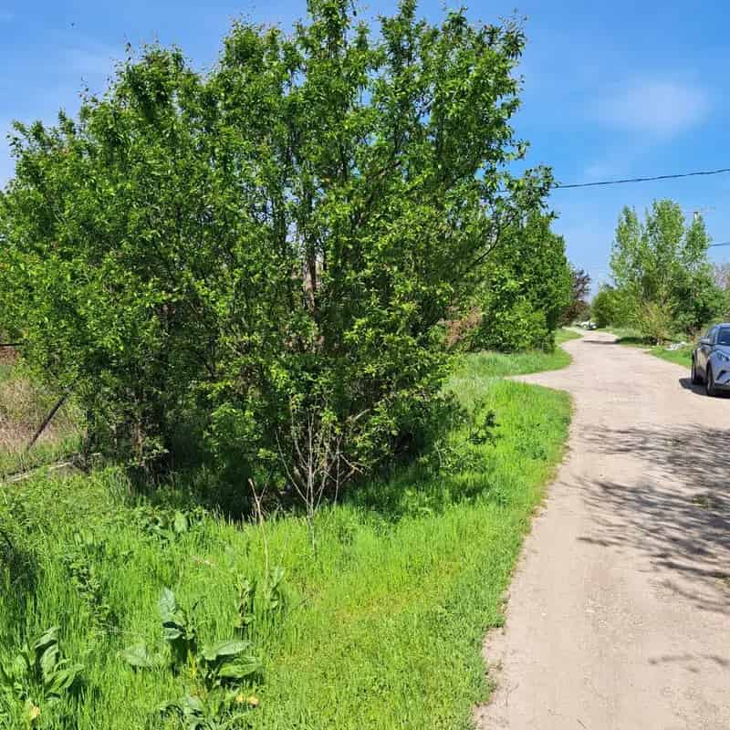 Telek Kiadó , Szolnoki járás, Alföld és Észak