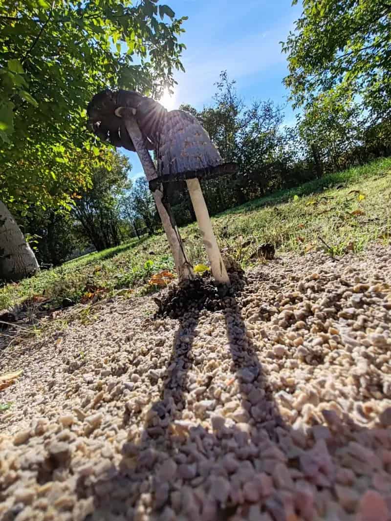 Telek Kiadó , Siófoki járás, Dunántúl