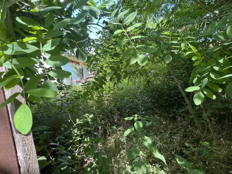 Telek Kiadó , Szigetszentmiklósi járás, Közép-Magyarország