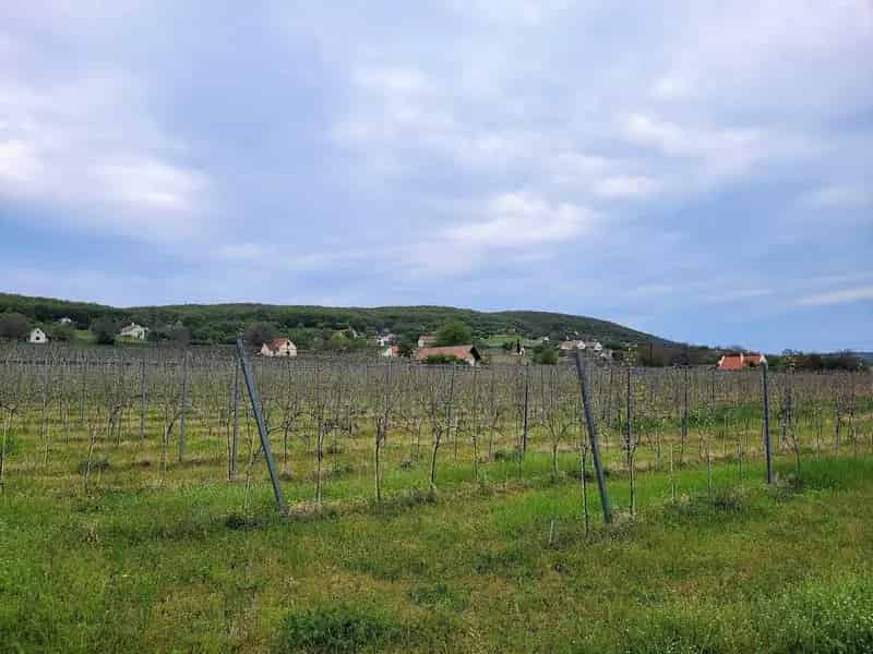 Telek Kiadó , Balatonfüredi járás, Dunántúl