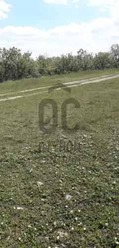 Balatonudvarii eladó mezőgazdasagi ingatlan, M0001915