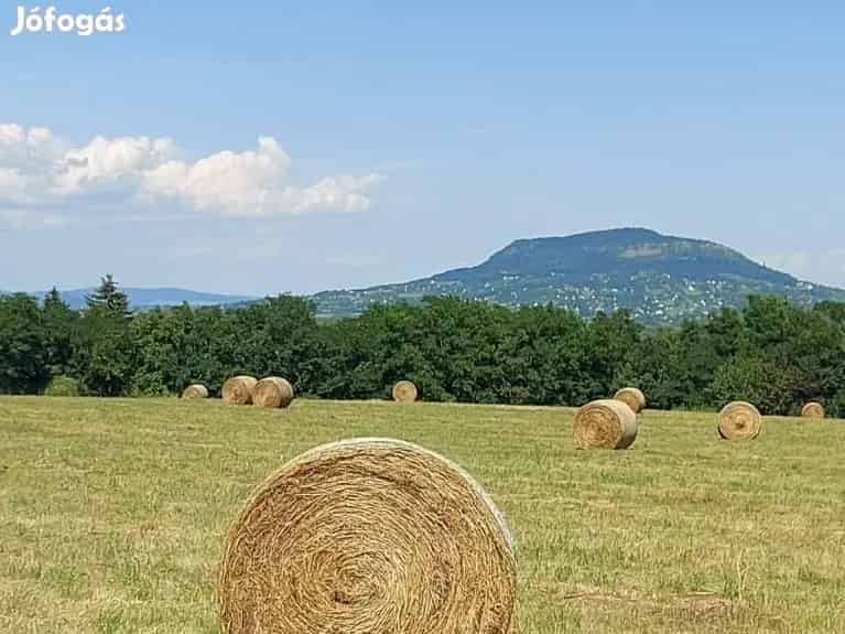 Balatonedericsen Telek Eladó ! - Balatonederics, Telek, föld - Jófogás Ingatlan