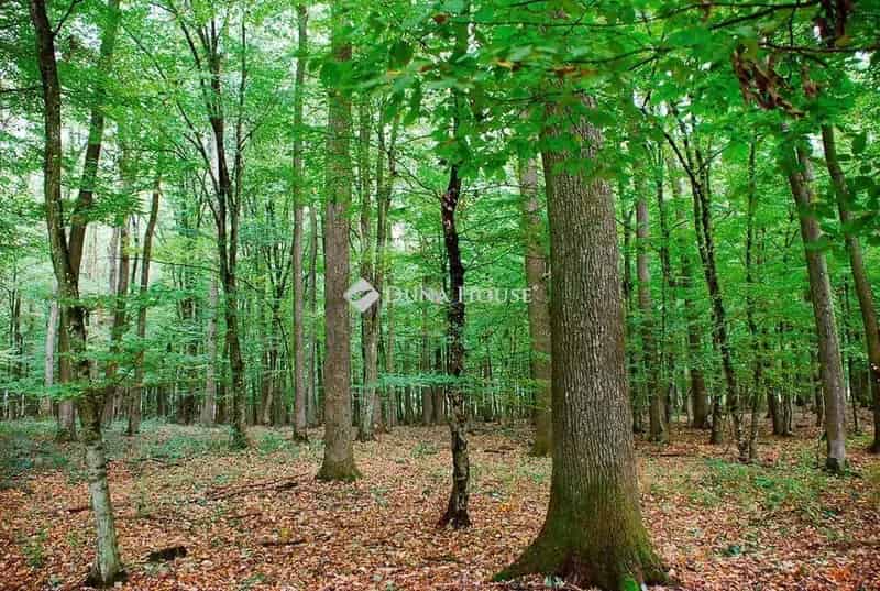 Telek Kiadó , Salgótarjáni járás, Alföld és Észak