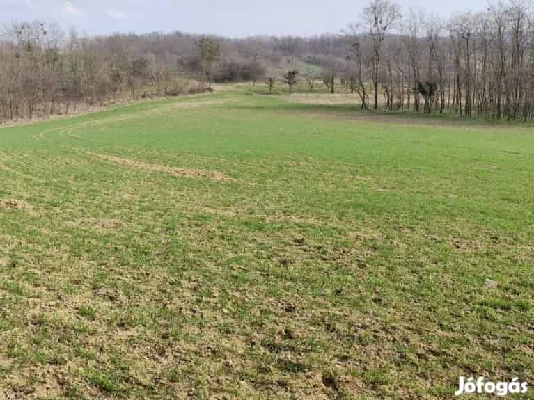 Eladó panorásmás Zártkerti terület Zalaszentgróton - Zalaszentgrót, Telek, föld - Jófogás Ingatlan