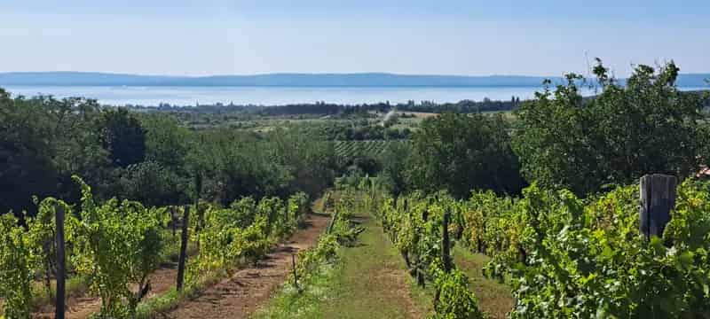 Tagyoni eladó telek, T040503