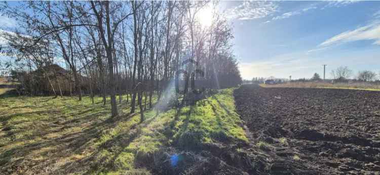 Tiszaszentimrei eladó telek, T039521