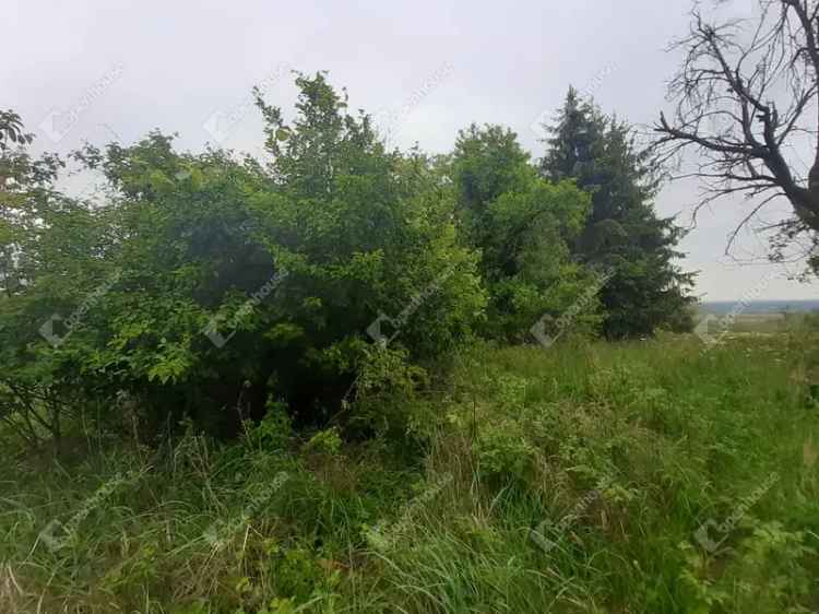 Miháldi zártkerti birtok eladó - 3468 m2