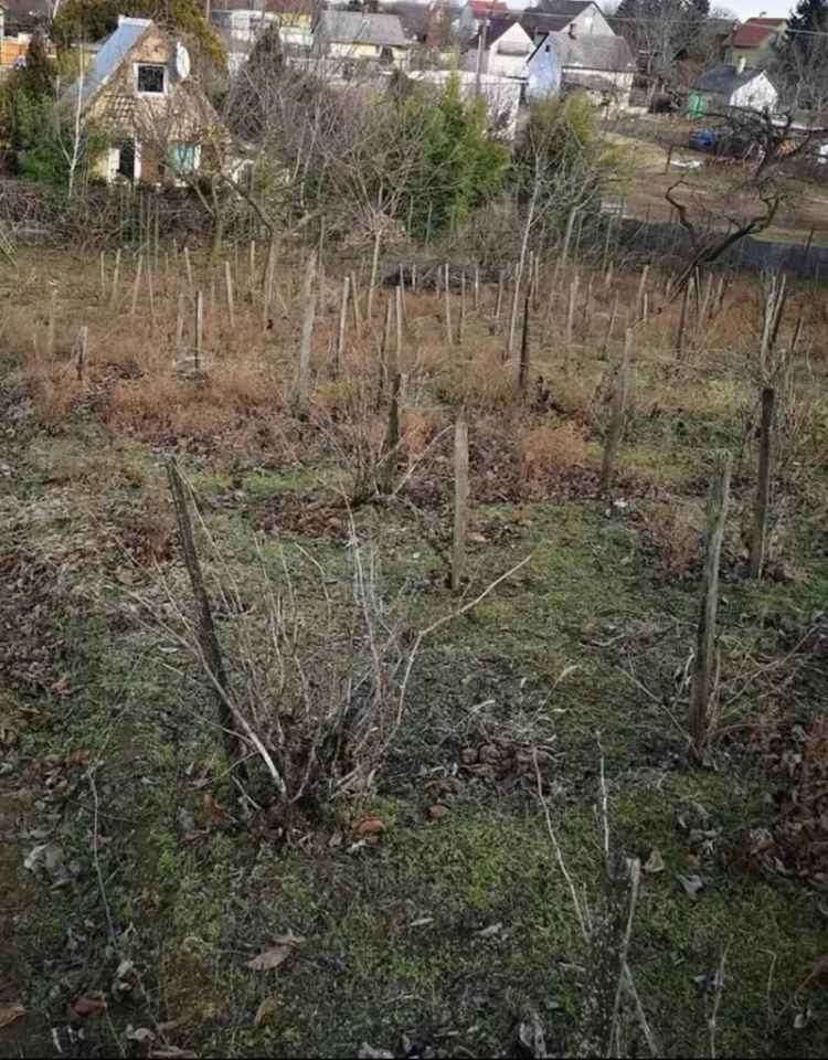 Ház Kiadó , Szabadbattyán, Dunántúl